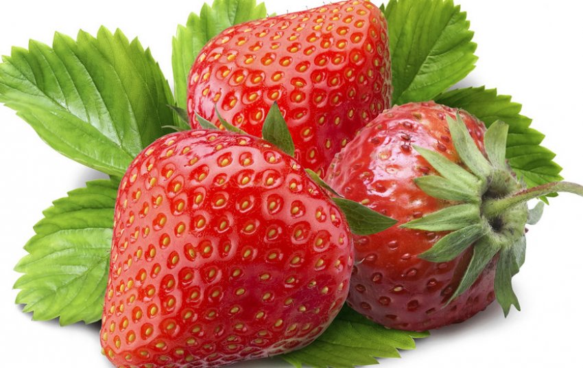 Полуниця Полуниця