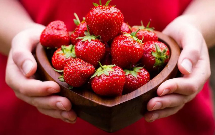 Вживання полуниця Вживання полуниця