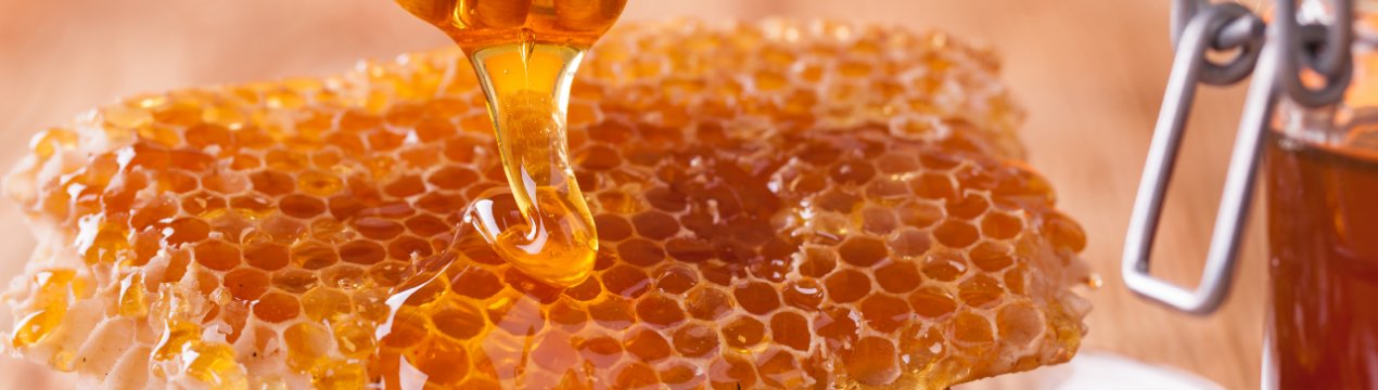 2/3 всього українського меду експортується безпосередньо фасувальникам