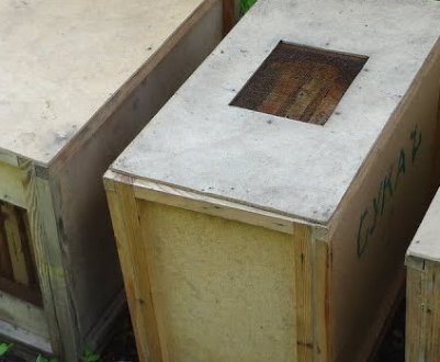 Ящик для бджіл своїми руками