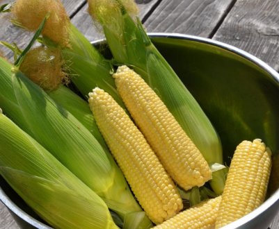 У Південній Африці посуха знизила урожай кукурудзи