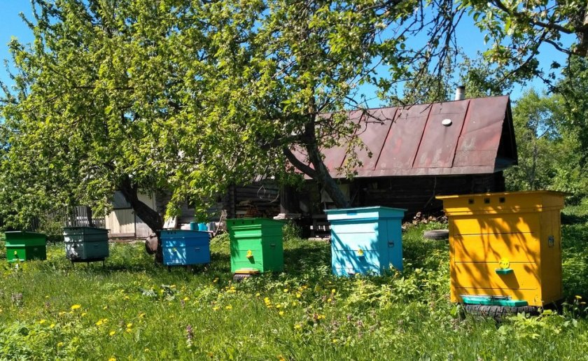 Цветение и опыление клубники. 69376.pqgtpo.840. Цветение и опыление клубники фото. Цветение и опыление клубники-69376.pqgtpo.840. картинка Цветение и опыление клубники. картинка 69376.pqgtpo.840. Любители сладких ягод клубники с нетерпением ждут сезона. Однако чтобы вырастить хороший урожай, нужно вооружиться определенными садоводческими знаниями по уходу за ягодой. К примеру, понимать, как опыляется клубника.
