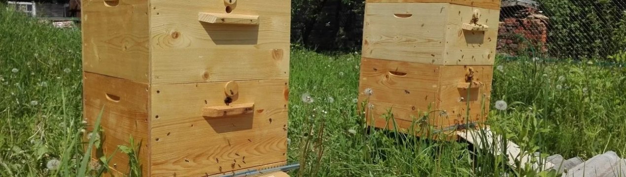 Основні особливості Великоруських вуликів