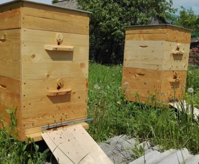 Основні особливості Великоруських вуликів