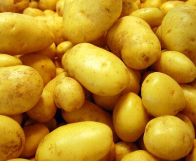 Головні особливості жовтого картоплі