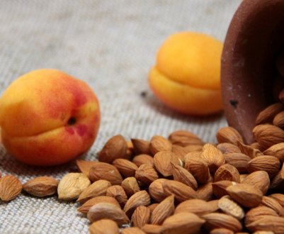 Особливості застосування абрикосових кісточок