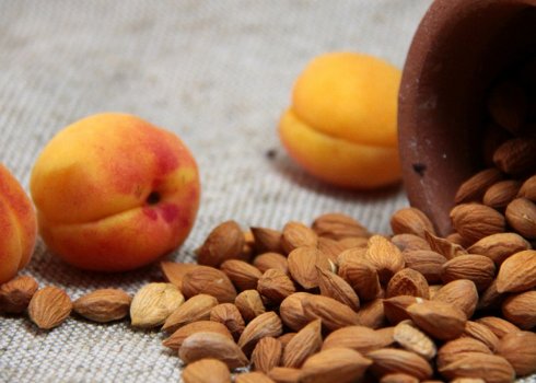 Особенности применения абрикосовых косточек