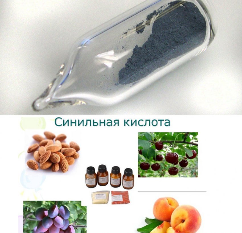 Синильна кислота Синильна кислота
