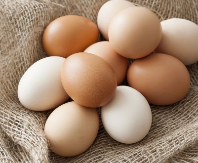 Експорт курячих яєць з України збільшився на 40 відсотків