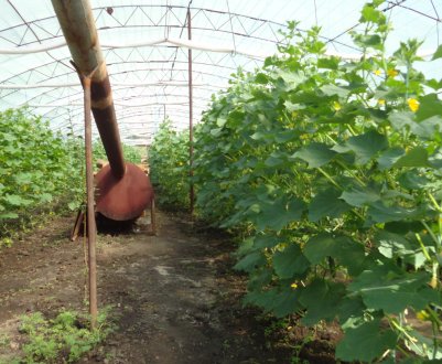 Як зробити опалення теплиці на дровах?