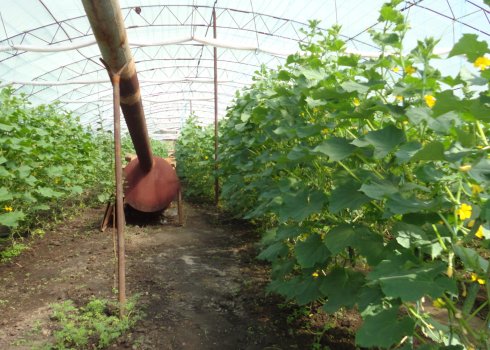 Как сделать отопление теплицы на дровах?