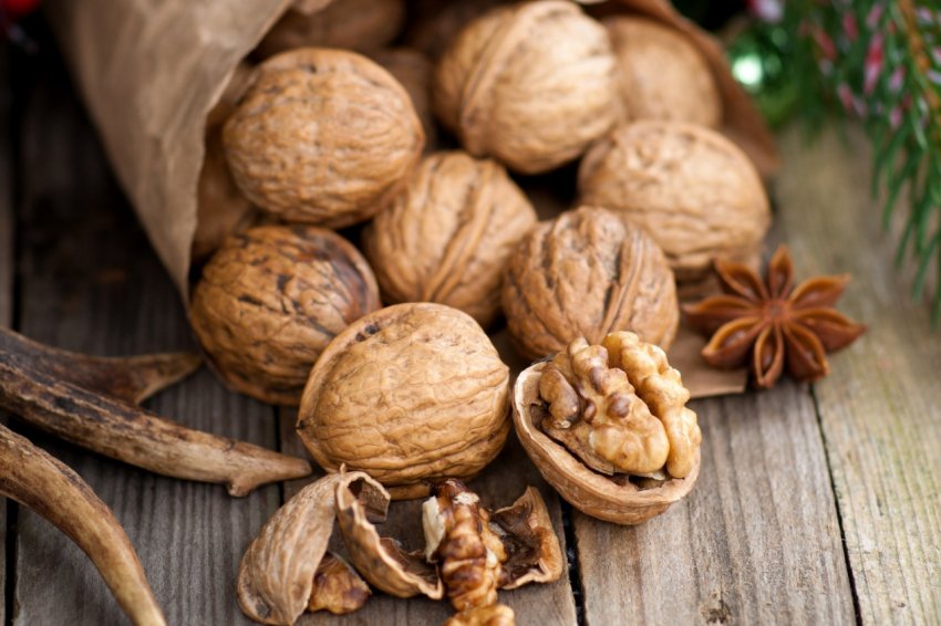 В Україні споживається тільки чверть вирощених горіхів В Україні споживається тільки чверть вирощених горіхів