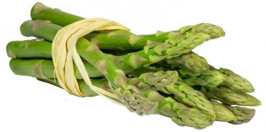 Спаржа Спаржа