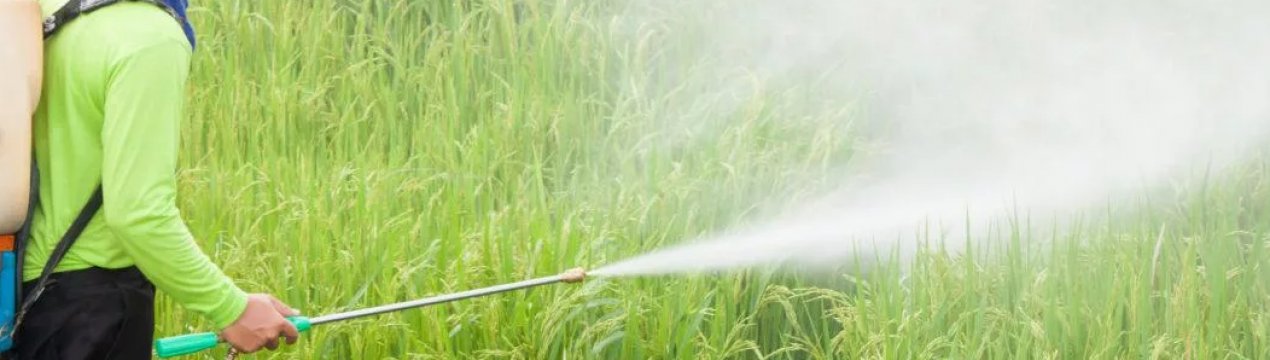 Bayer подав апеляцію на рішення суду першої інстанції про виплату 78 мільйонів доларів