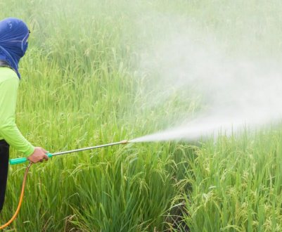 Bayer подав апеляцію на рішення суду першої інстанції про виплату 78 мільйонів доларів