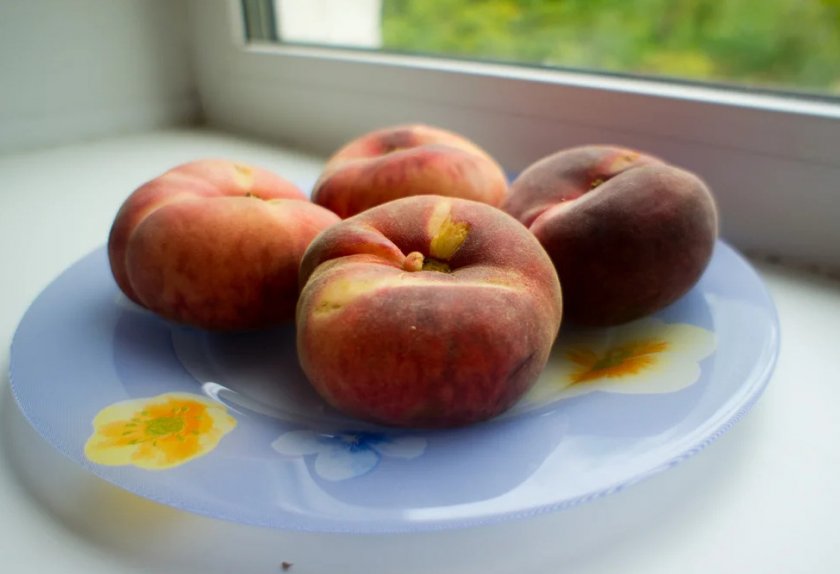 Лучшие сорта инжирного персика: посадка и уход