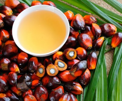 Китай збільшить імпорт малазійського пальмової олії та інвестує в завод з виробництва біопалива