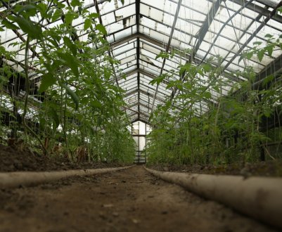 Особливості вибору та встановлення обігрівача для теплиці