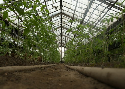 Особенности выбора и установки обогревателя для теплицы