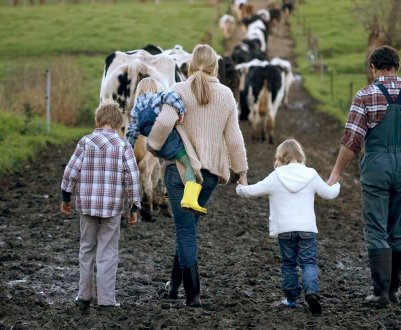 У Британії платіжне агентство заборгувало фермеру дуже круглу суму