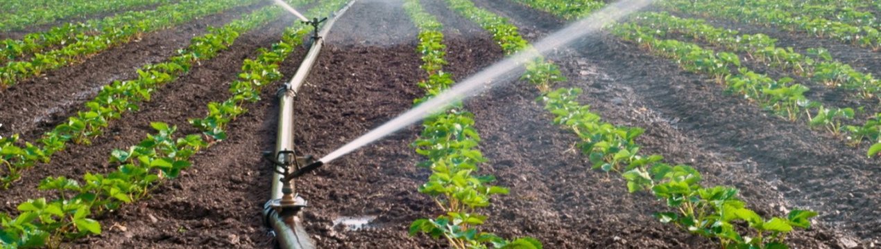 Херсонські працівники водних господарств вимагають підвищення тарифів на зрошення