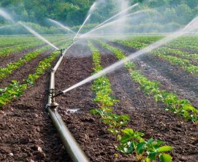 Херсонські працівники водних господарств вимагають підвищення тарифів на зрошення