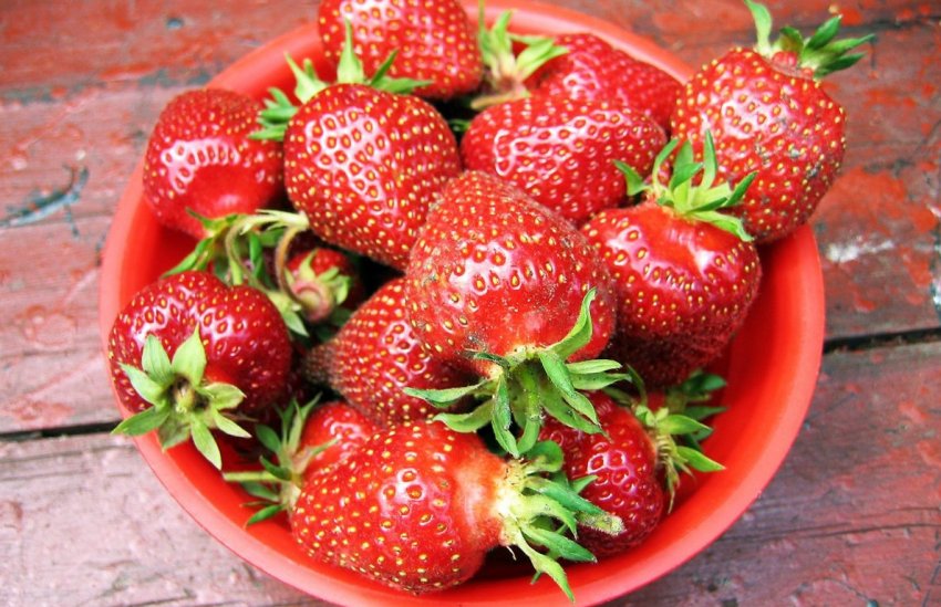 Полуниця Танюша