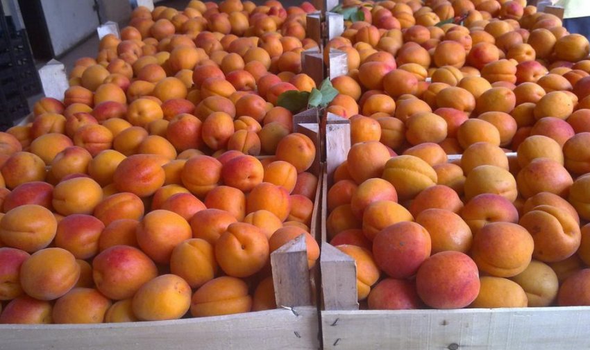 Абрикоси в ящику