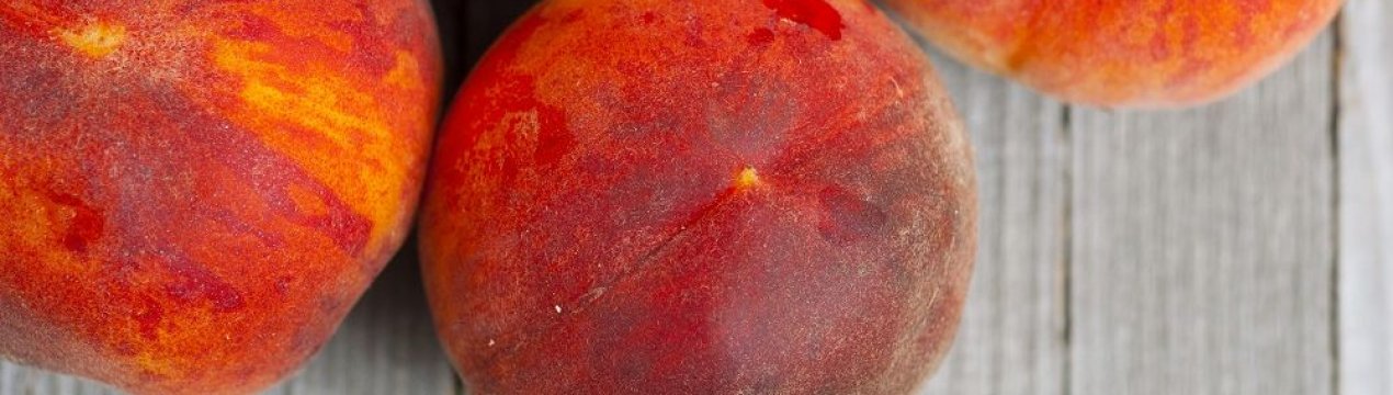 Особливості вирощування персика сорти Редхейвен