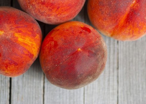 Особливості вирощування персика сорти Редхейвен