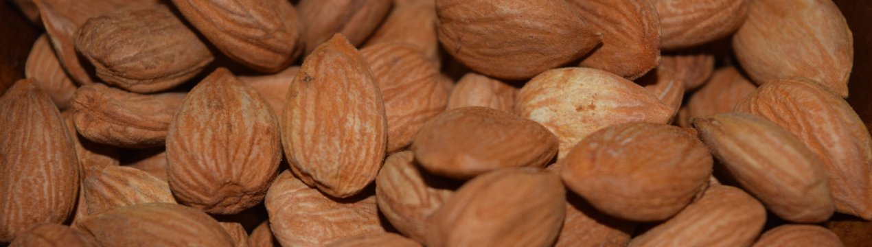 Лікування раку абрикосовими кісточками