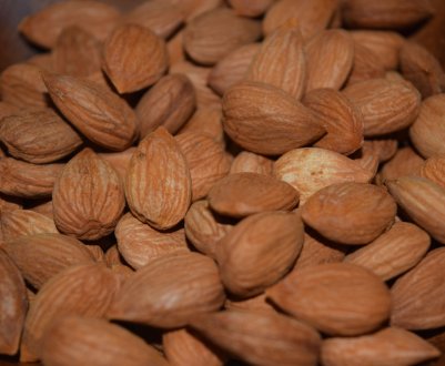 Лікування раку абрикосовими кісточками