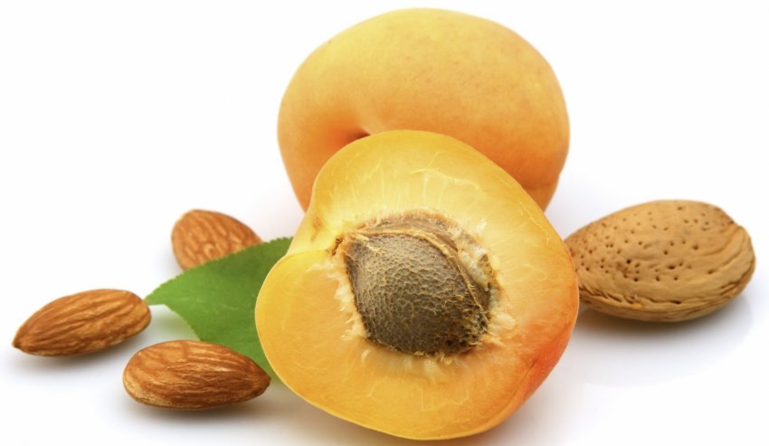 Абрикосові кісточки від раку