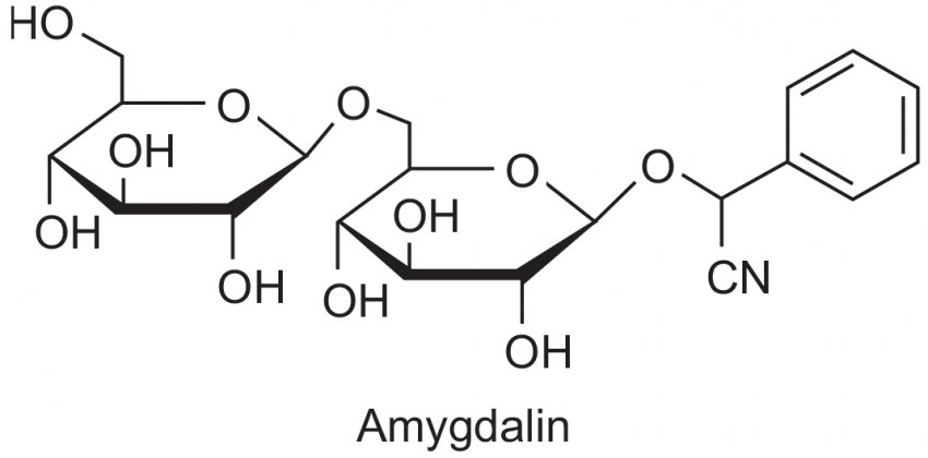Формула амігдаліна