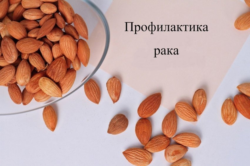 Ядра абрикосовых косточек