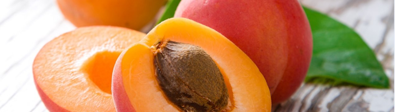 Опис і характеристика абрикоса сорту Фаворит