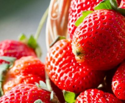 Як вирощувати полуницю з насіння?