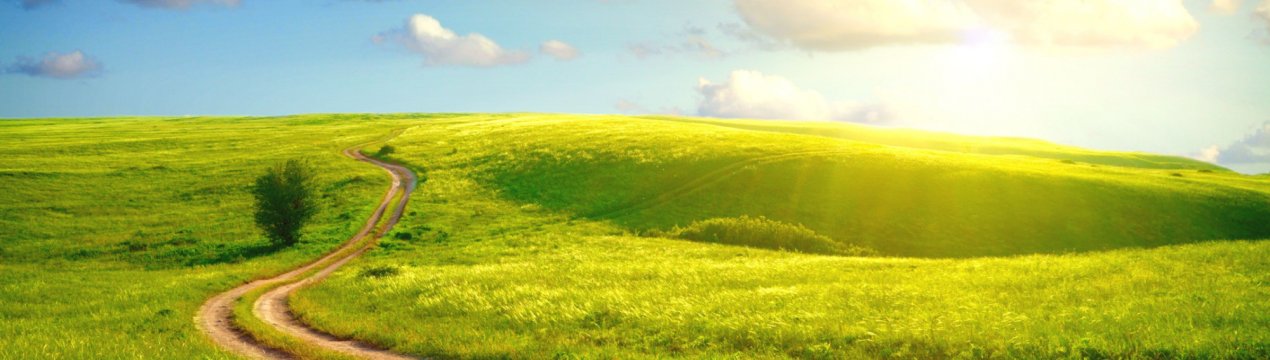 Ставропольські аграрії всерйоз занепокоїлися підвищенням родючості ґрунтів