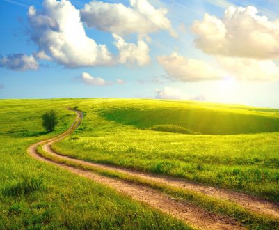 Ставропольські аграрії всерйоз занепокоїлися підвищенням родючості ґрунтів