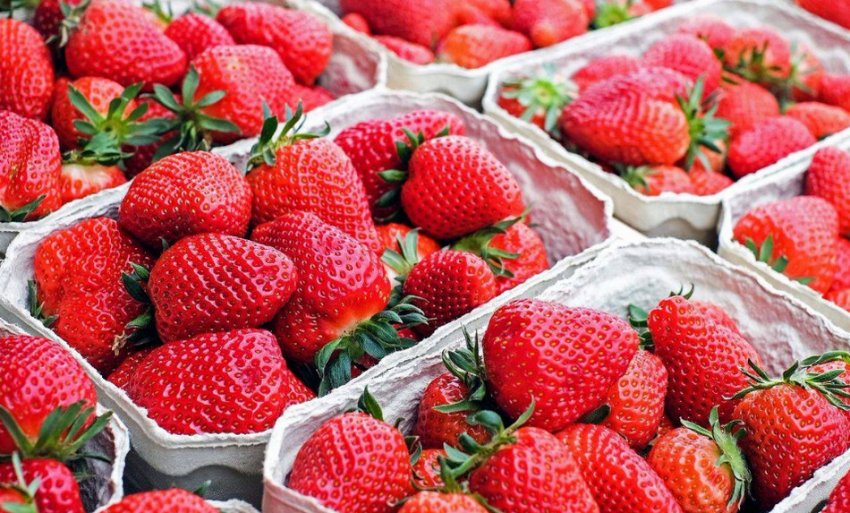 Підготовка до заморожування полуниці