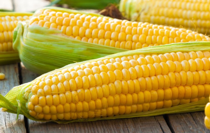 Карпатський винахідник створив одноразовий посуд з кукурудзяних залишків Карпатський винахідник створив одноразовий посуд з кукурудзяних залишків