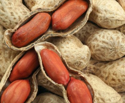 Херсонський аграрій вирощує незвичайну культуру