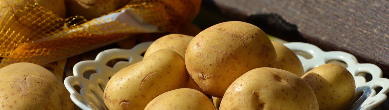 Україна повернула Нідерландам заражену картоплю