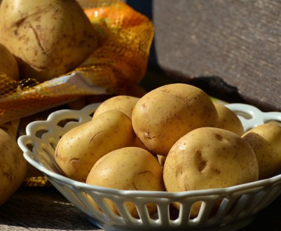 Україна повернула Нідерландам заражену картоплю