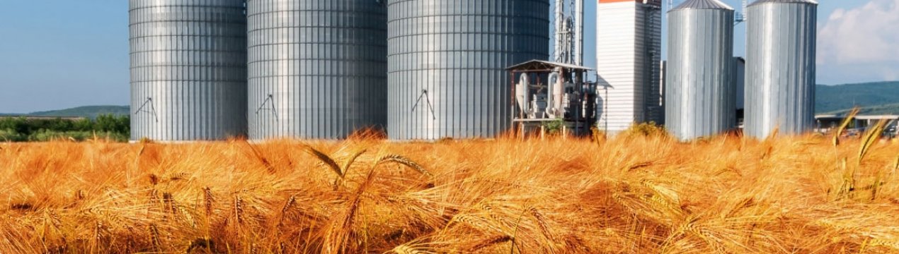 Компанія Адгоху представить систему «розумний елеватор»