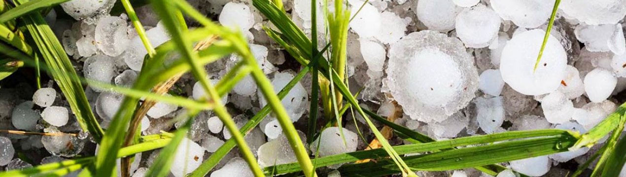 Тернопільська область постраждала від сильної негоди