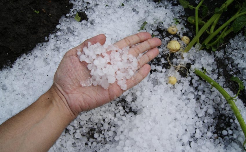 Тернопільська область постраждала від сильної негоди