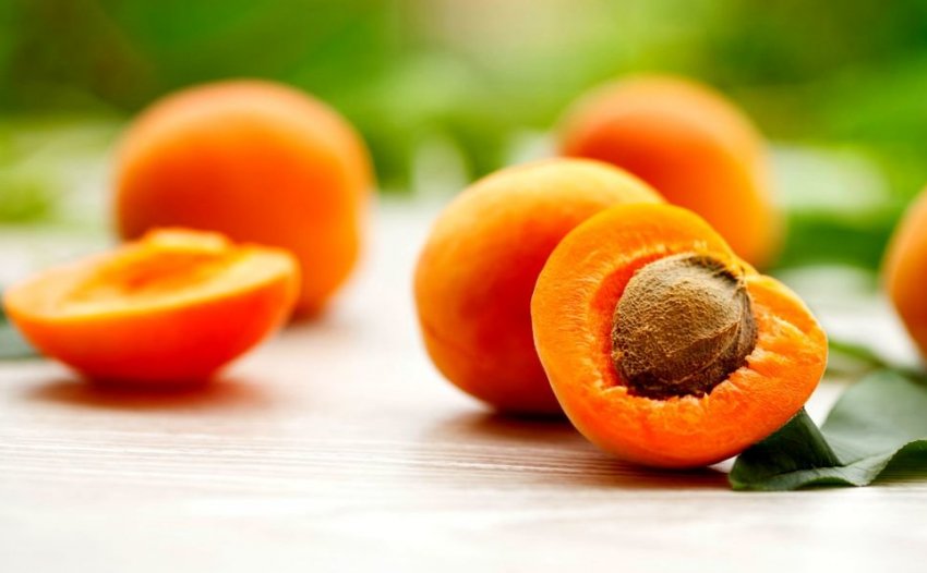 Абрикос Снегирек