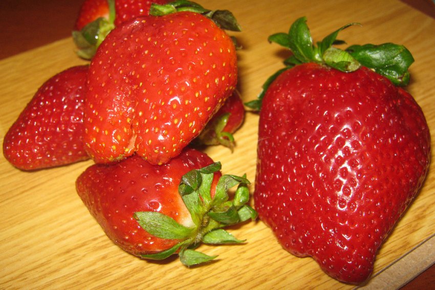 Полуниця Берегиня Полуниця Берегиня