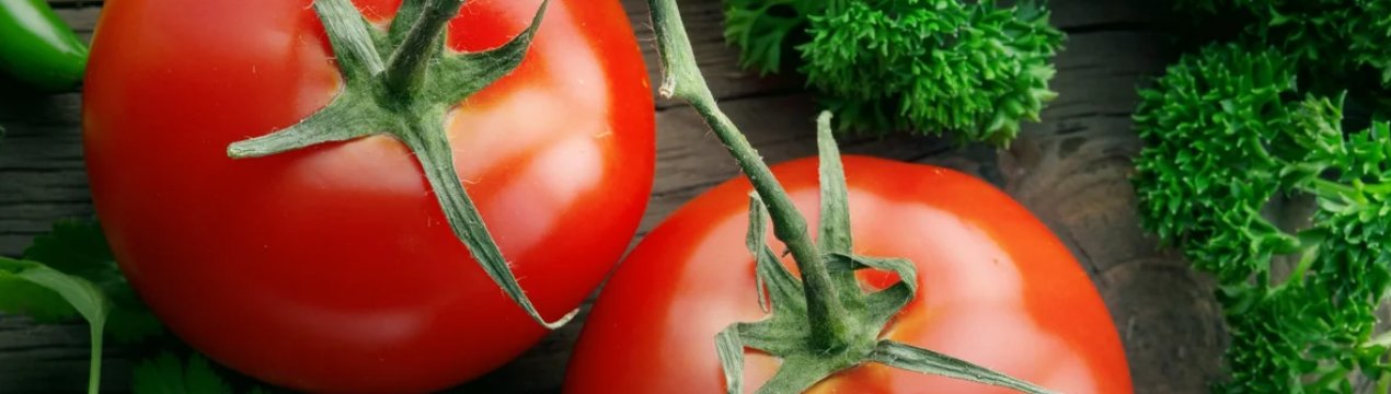 На українських ринках нарешті почали дешевшати томати